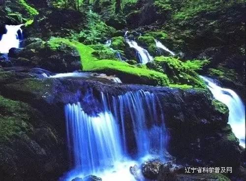 2010夺冠时刻,山东泰山的这一辉煌多少人记得